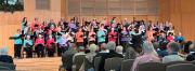 IMG 3259b